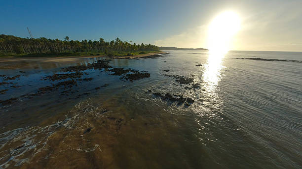 Dramatic view of ocean waves crashing against a rocky tropical coastline in Itacaré, Brazil. Palm trees and distant hills frame this vibrant natural seascape.