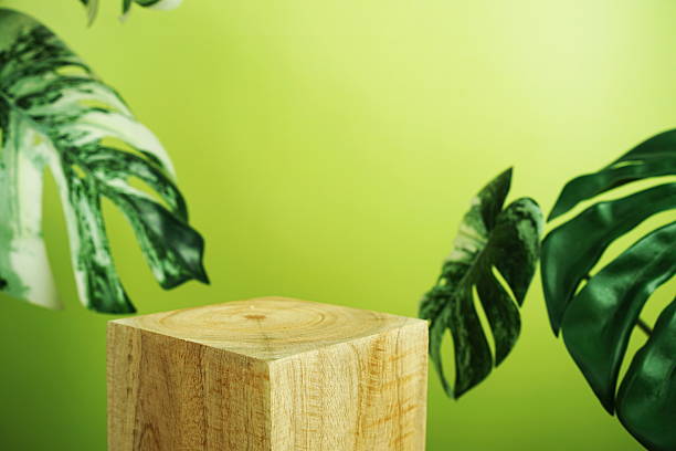 istock Wooden podium display scene stage showcase front view with copy space and monstera leaves decoration on green background 2226317011