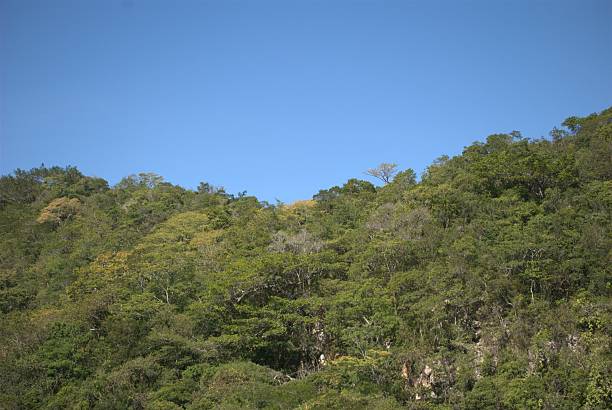 istock Venezuela a green country. 2226318065