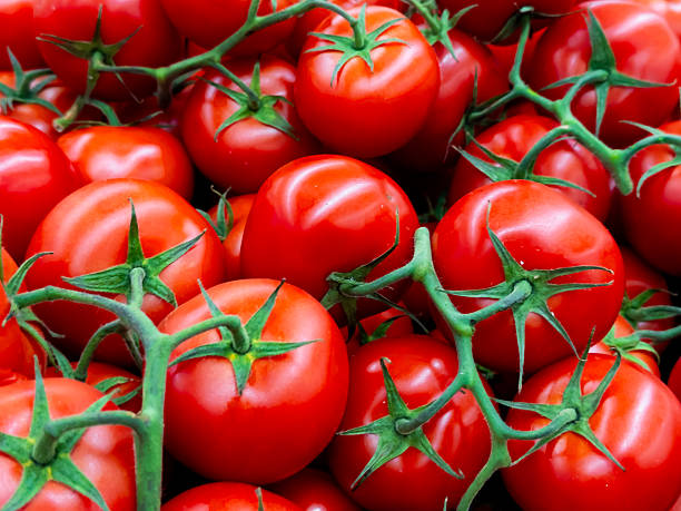 istock Vibrant red tomatoes on the vine displayed in abundance 2226318278