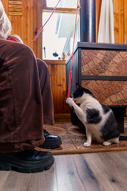 Black and white cat playing with red yarn near wood stove in cozy home interior