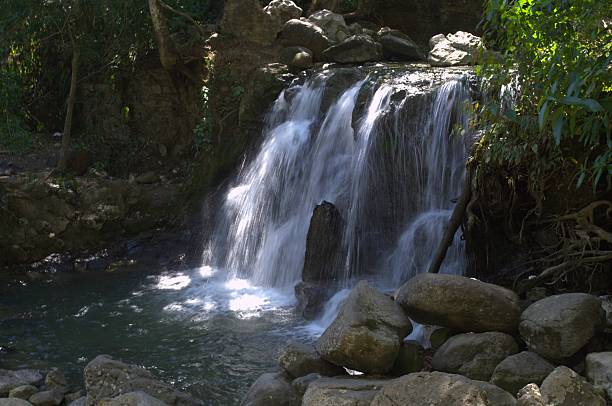istock Venezuela a green country. 2226320312