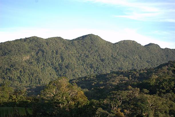 Venezuela a green country.