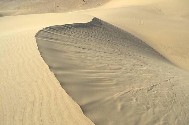 istock Medanos de Coro, Venezuela. 2226327450