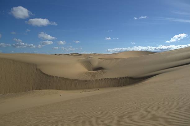 istock Medanos de Coro, Venezuela. 2226327506