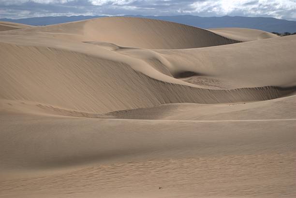 istock Medanos de Coro, Venezuela. 2226328569