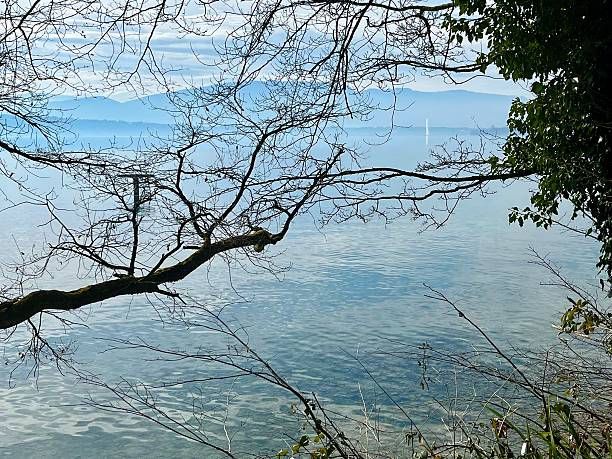 Switzerland- Genthod ( Geneva) - Leman Lake