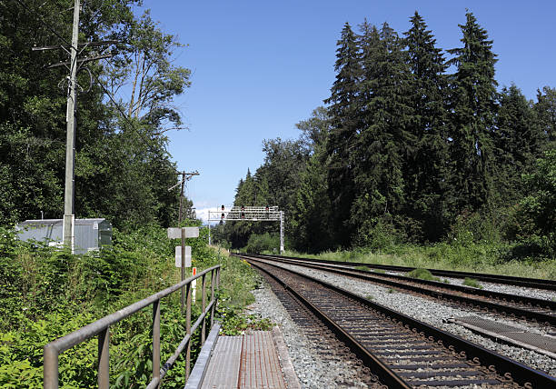 Burnaby, Canada - July  12, 2025: Looking east from the level crossing at Piper Avenue in Burnaby Lake Regional Park. Overhead rail signals on the CN Rail tracks. Trees and utility poles line this corridor. Summer afternoon with a clear sky over Metro Vancouver.