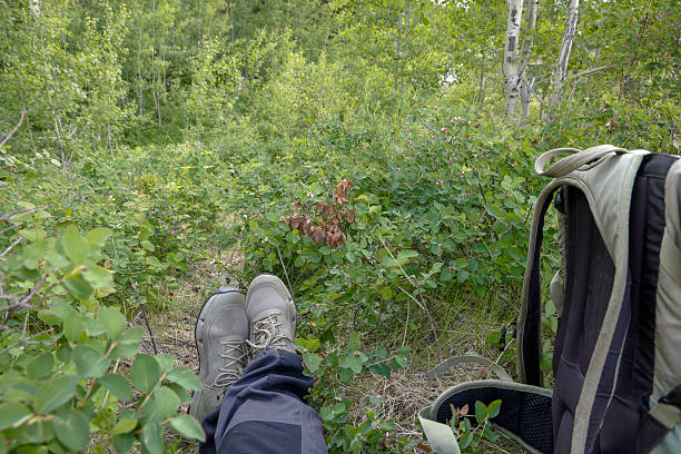 Personal perspective of hiker in mountain meadow, springtime, Crowsnest Pass, Alberta