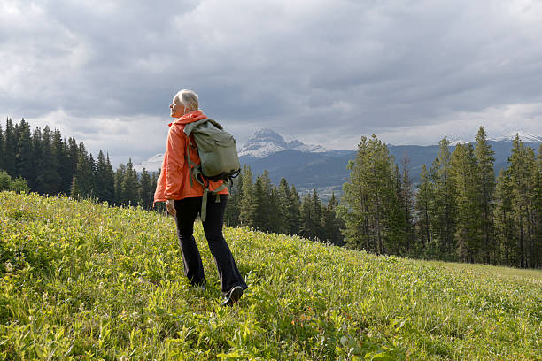Mature woman hikes through mountain meadow, snowcapped peak and moody sky above, springtime, rear view, Crowsnest Pass, Alberta