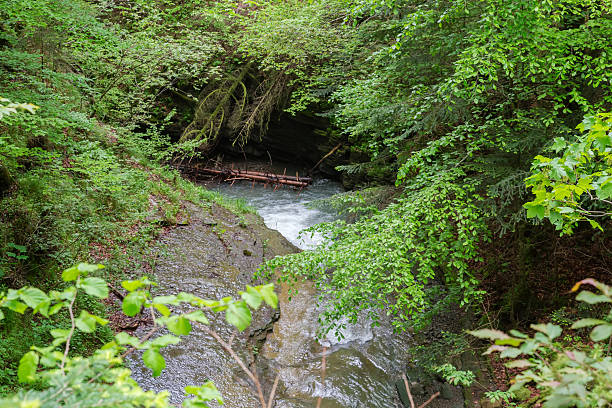 istock Mountain stream with fallen trees and steep banks in forest 2226336297