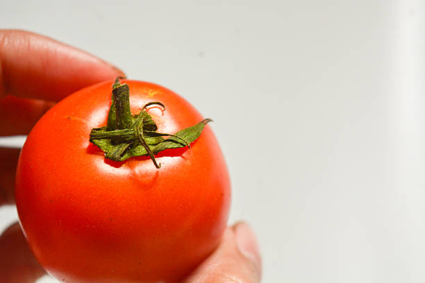 Fresh homegrown tomatoes on a white backgorund
