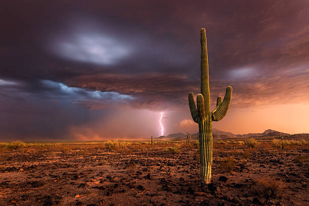 Lightning strikes from a monsoon storm at sunset in the Arizona desert.