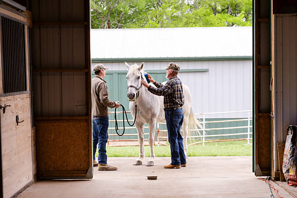 istock Two Men Grooming a White Horse in a Barn 2226340903
