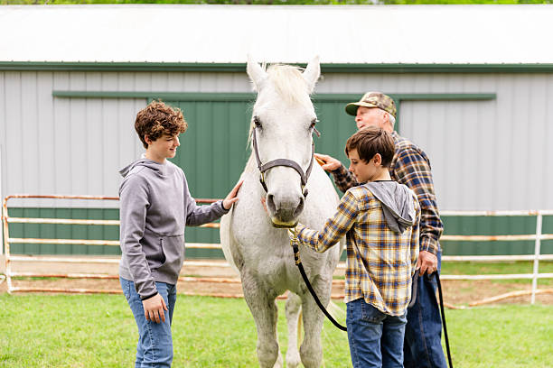istock Grandfather and Grandsons Bonding with a Horse 2226340957