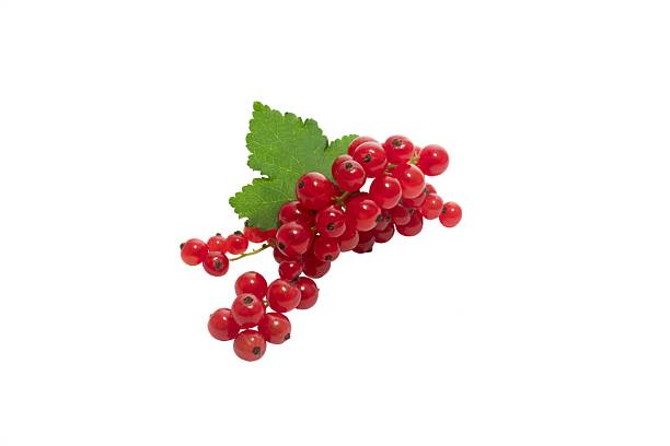 istock Fresh Red currant berry isolated on white background. 2226345770