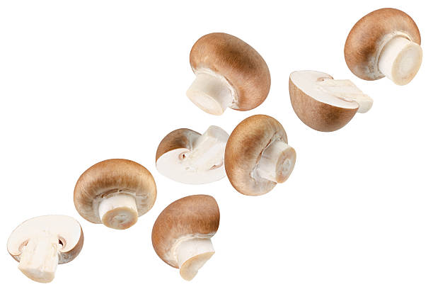 istock Dark brown champignons whole and halves take on a strange shape in space. Isolated on white 2226347536