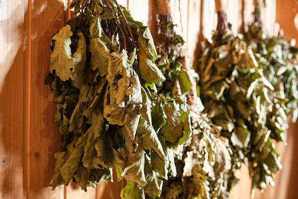 istock Dry brooms in the bath 2226347995
