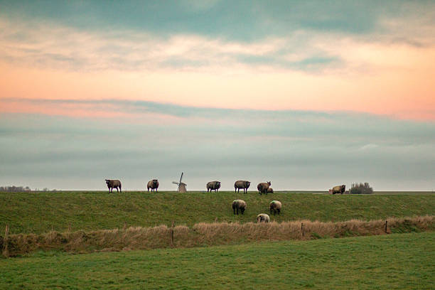 Former island of Schokland, UNESCO World Heritage Site, Netherlands