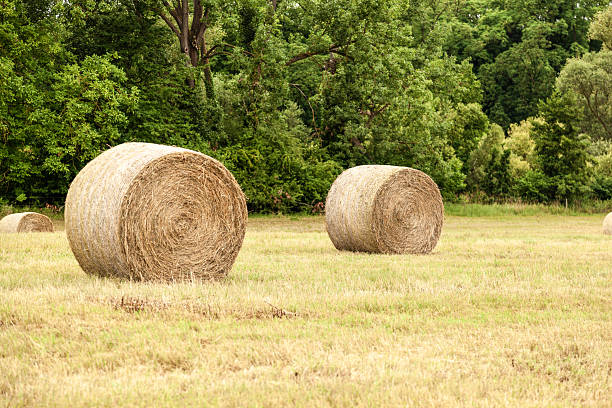 istock Hay bales in a field. Close-up . 2226348996