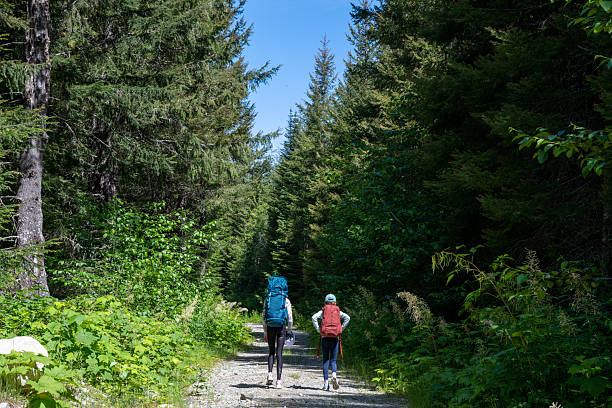 Young sisters backpack on trail in forest, Whistler, B.C.
