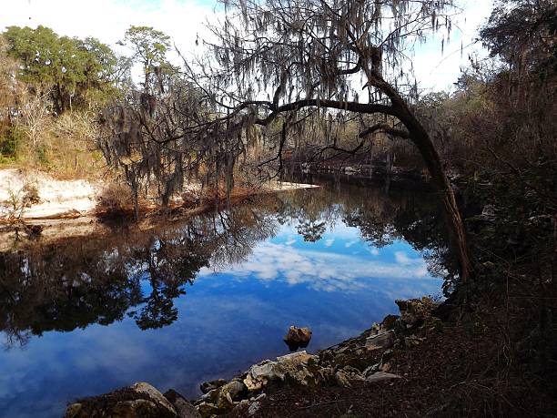 istock Suwannee River Trail and Balanced Rock Trail on the Suwannee River.  Suwannee RIver State Park Florida 2226350420
