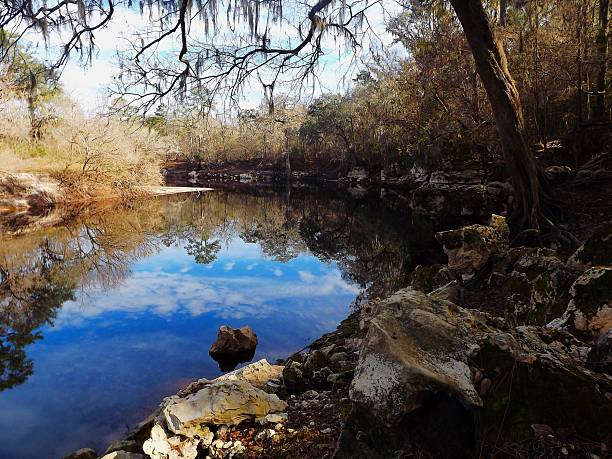 istock Suwannee River Trail and Balanced Rock Trail on the Suwannee River.  Suwannee RIver State Park Florida 2226350426