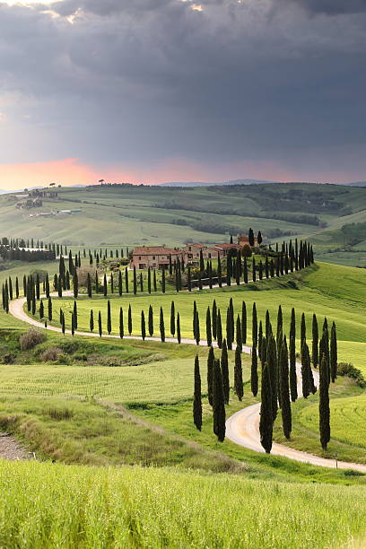 istock Cloudy sunset on the Val d'Asso Valley, its podere -farmsteads- among rolling hills, cypress-lined dirt roads, grain fields. Asciano-Tuscany-Italy-089 2226351473