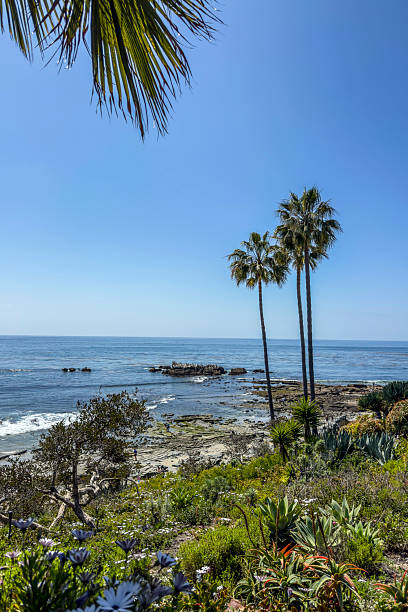 istock Laguna Beach, California Coastline and Gardens 2226351577