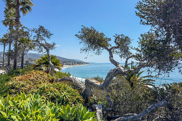 Laguna Beach on a summer afternoon. Laguna is an affluent beach community in Southern, California that draws crowds during the summer months. The artist colony of Laguna Beach is Orange County’s hidden gem, located halfway between Los Angeles and San Diego.