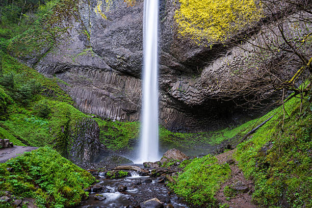 istock Latourell Falls in Oregon 2226351793