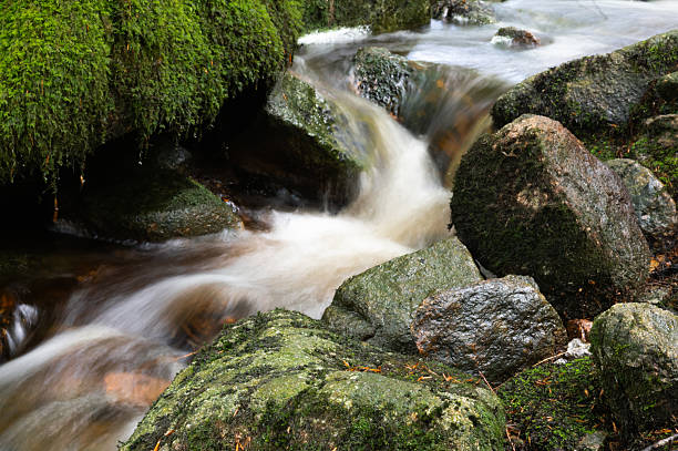 Close up of water flowing over stones in a rural location in Scotland