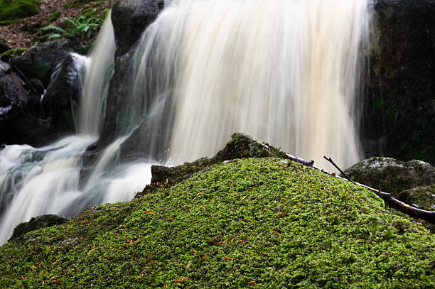 Moss covered stone in front of a waterfall in a rural location in Scotland
