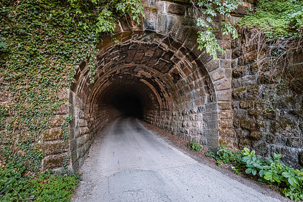 istock Narrow asphalt road winding into a dark tunnel beneath an ancient stone bridge, its surface adorned with lush, green ivy 2226356533