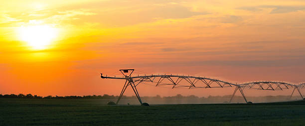 istock Irrigation system watering agricultural field of soybean at sunset 2226356549