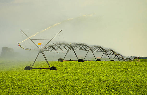 istock Irrigation system watering agricultural field 2226356583