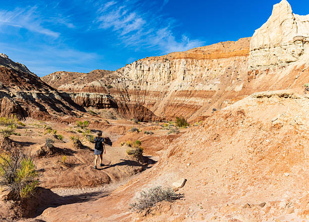 istock Female Hiker and The Red and White Striped Sandstone Cliffs Above The Toadstool Trail 2226357673