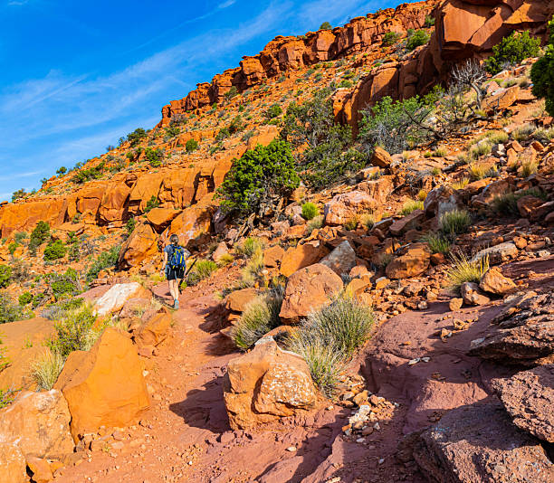 istock Female Hiker on The Mansard Trail 2226358023