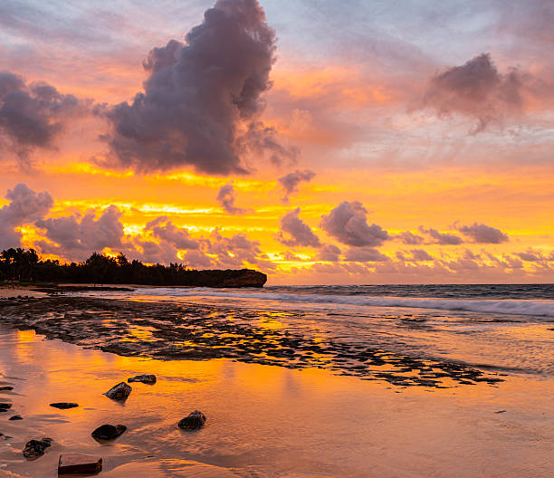Cloud Filled Sunrise Reflecting on Tide Pools at Shipwreck Beach
