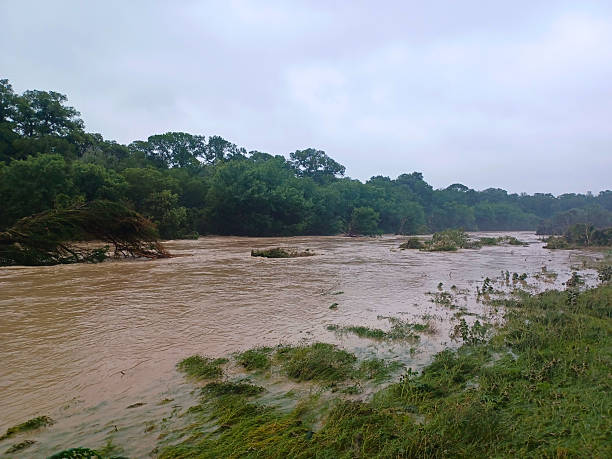 Flowing Flood Water in Texas