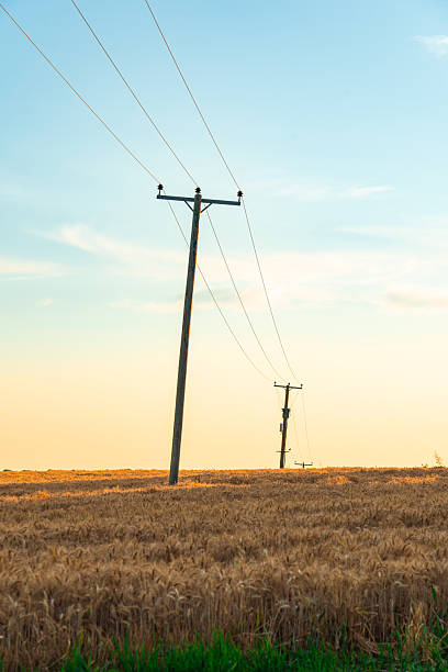 istock Power lines crossing a wheat field in england at sunset 2226364251