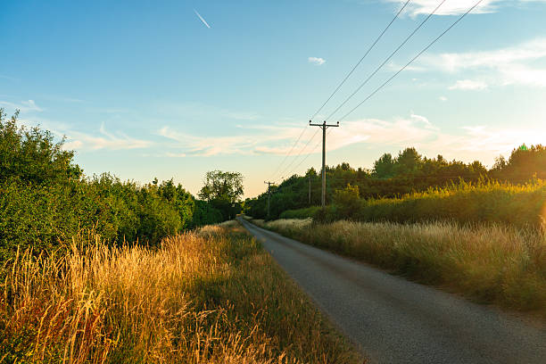 Scenic view of an empty country road passing through golden fields at sunset, with trees and power lines along the roadside in england