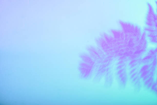 istock Tropical leaves in neon light with duotone shadows 2226365433