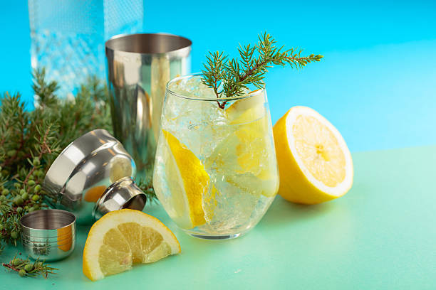 istock Gin and tonic cocktail with crushed ice and lemon slices. 2226366619