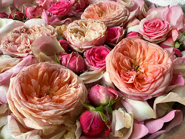 istock Bouquet of pink roses flowers. 2226367549