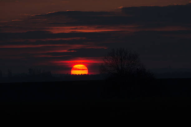 Early sunrise on a cold winter morning in Babberich, the Liemers, Netherlands. Time for awakening the silence.