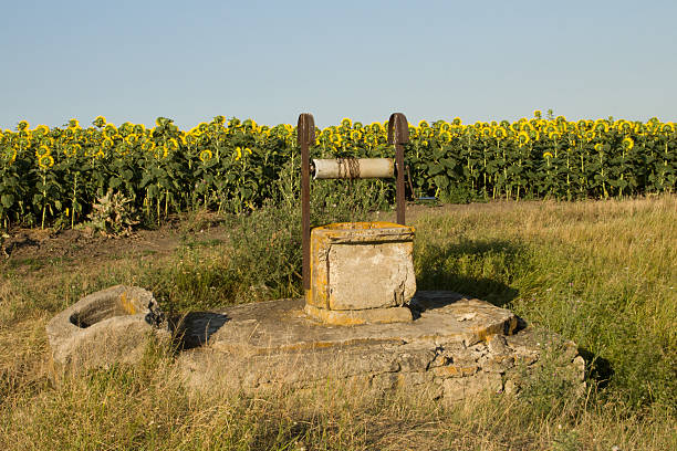 istock A stone wall in a field of flowers 2226371000