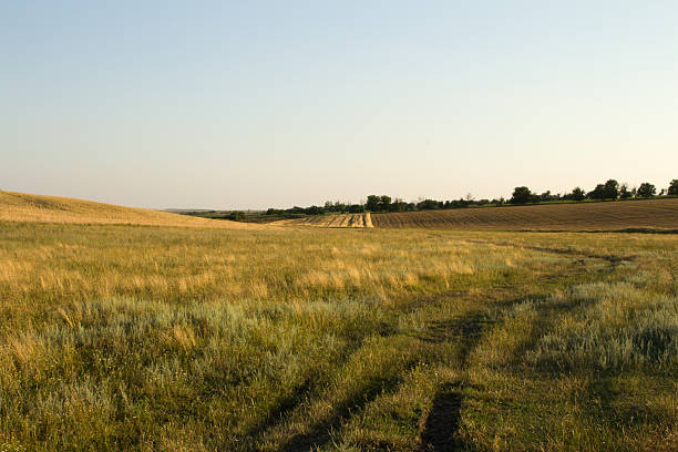 istock A field of grass 2226371826