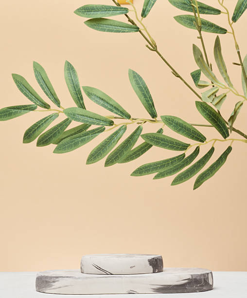 istock Two round marble podiums of different sizes are located on a lig 2226372464