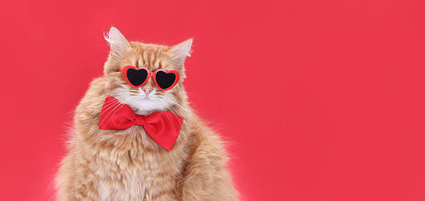 istock Ginger Cat Dressed for Valentine's Day in Heart Glasses and Bow Tie 2226372687